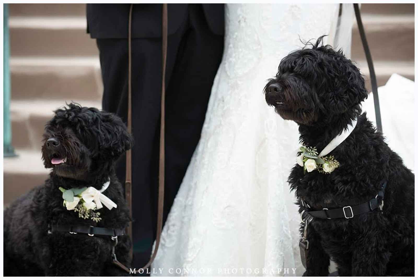 giant schnoodles in wedding