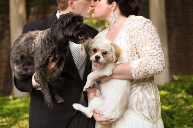 Bride and groom with puppies