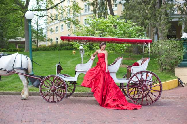 Elegant horse-drawn carriage