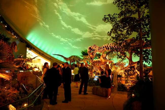 Cocktail reception at a dinosaur exhibit