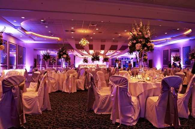 Pink and Purple Reception