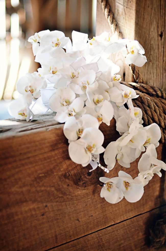 Bouquet of Phalaenopsis Orchids