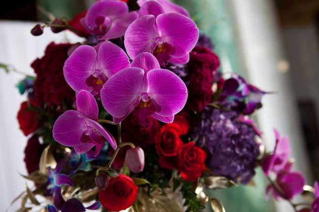 Red, Pink & Purple Bouquet