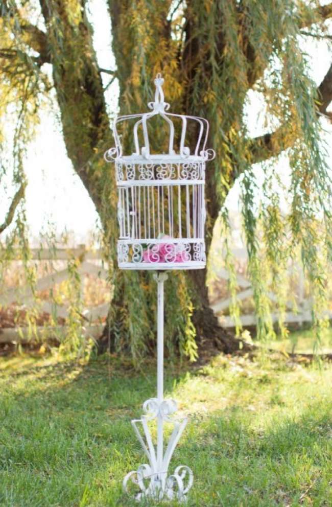 Birdcage used as wedding decor