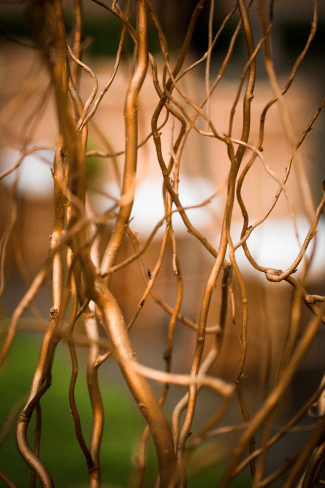 Gold Decorative Tree Branches