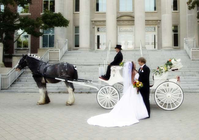 Horse-drawn carriage in front of church