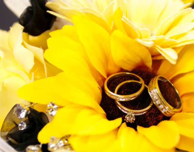 Sunflower holding wedding rings