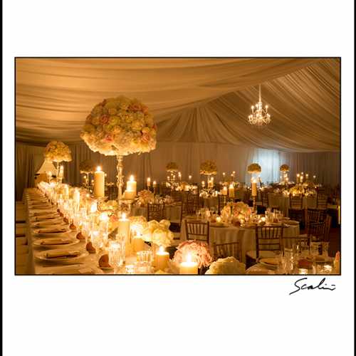 Under the Tent